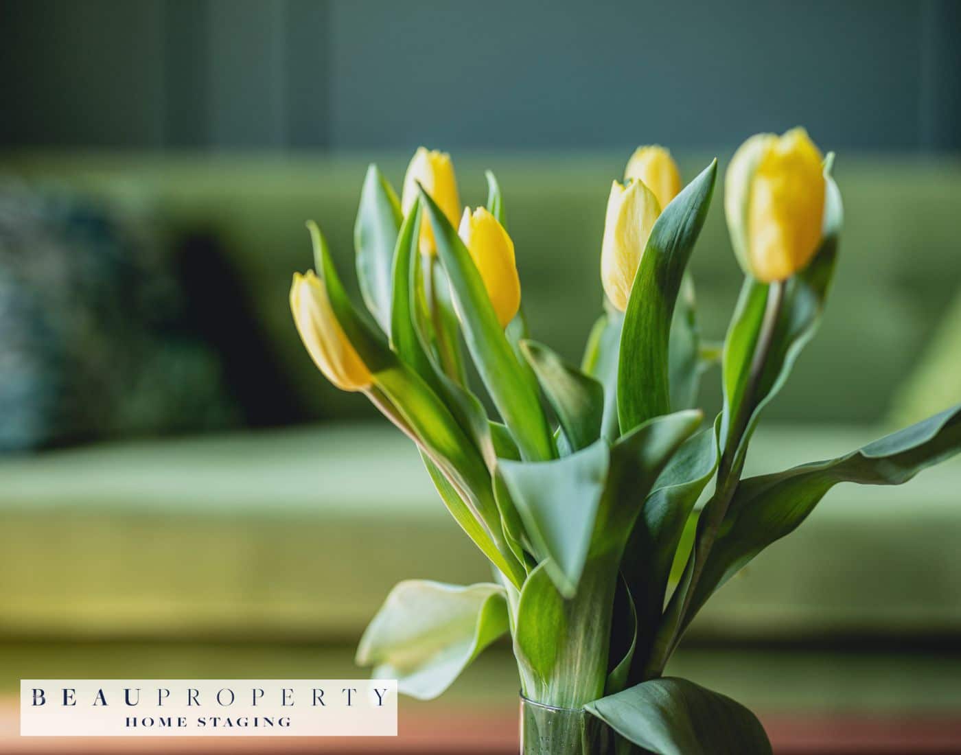 Boost your property's appeal with spring home staging. Learn strategies for spring to enhance marketability.