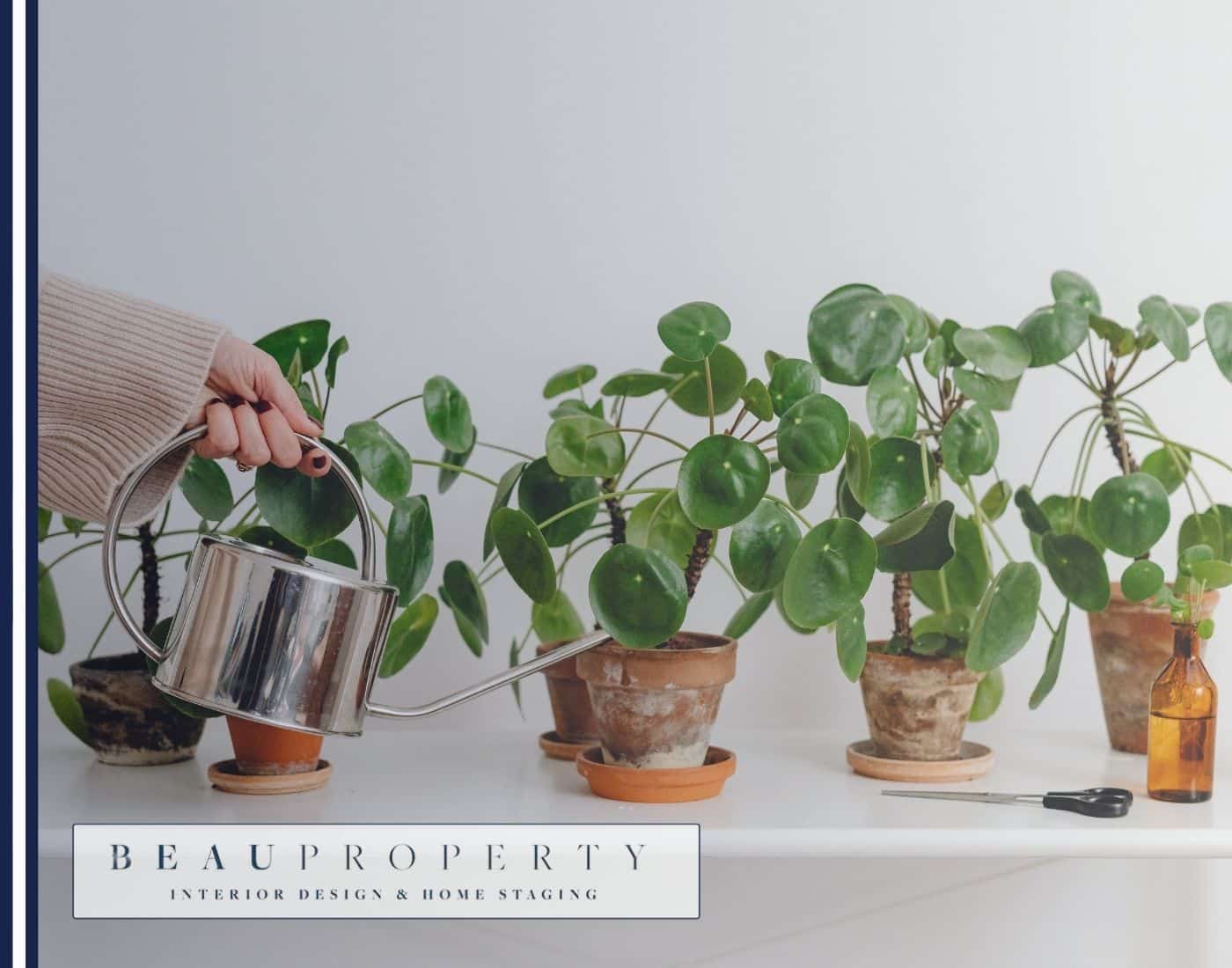 Discover 20 creative greenery techniques for styling with plants in your home. Enhance aesthetics and health with indoor plants and plant styling tips!