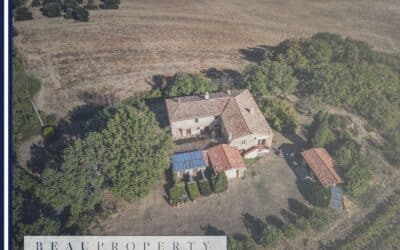 Latest News 5 Staging Tips for Eco-Friendly Homes: How to Highlight Sustainability and Sell Faster